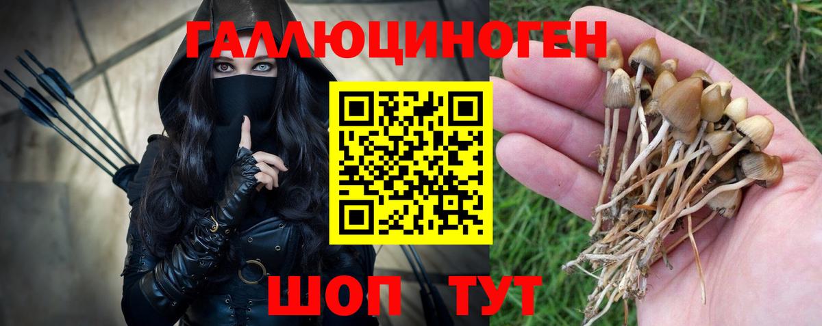 Галлюциногенные грибы прущие грибы  наркошоп  Бутурлиновка  Вход с VPN  Галлюциногенные грибы мухоморы 
